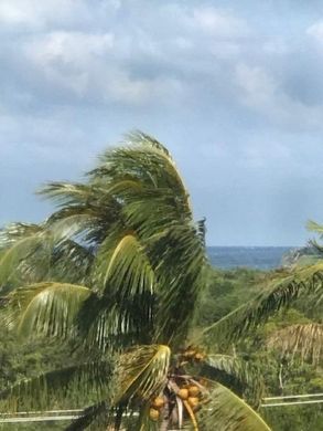 Kamienica w Jupiter, Palm Beach County