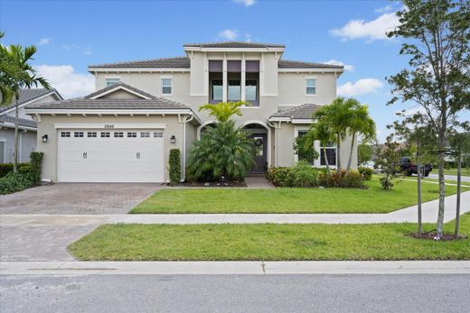 Villa en Westlake, Hillsborough County