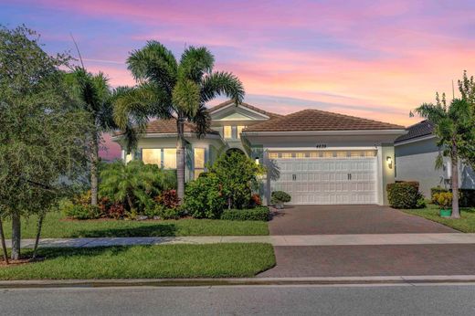 Βίλα σε Westlake, Hillsborough County