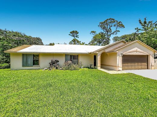 Villa in The Acreage, Palm Beach