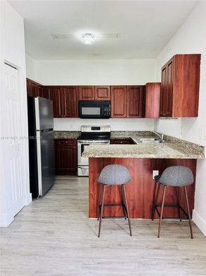 公寓楼  Homestead, Miami-Dade County