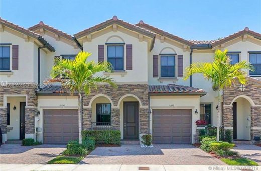 城市独宅  Homestead, Miami-Dade County