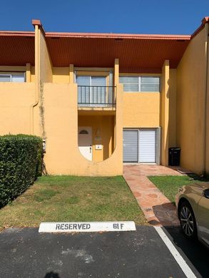 Casa di città a Miami, Miami-Dade County