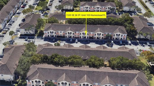 公寓楼  Homestead, Miami-Dade County