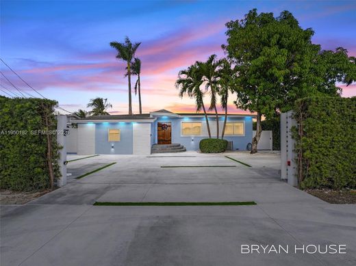 Willa w Miami Heights Trailer Park, Miami-Dade County