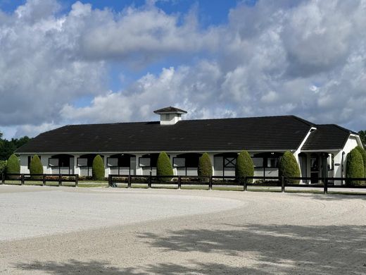 Villa in Wellington, Palm Beach