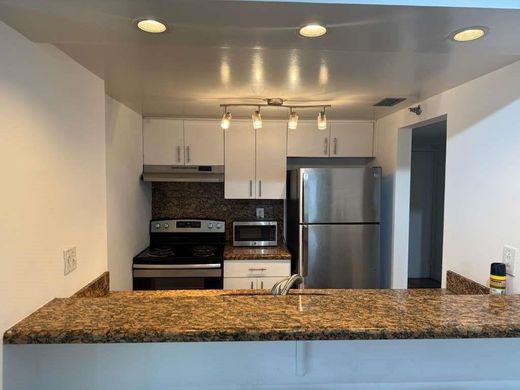 콘도미니엄 / 마이애미, Miami-Dade County