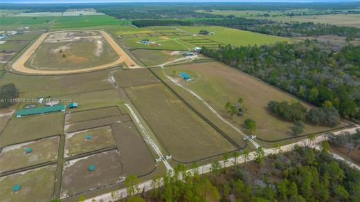 Villa in Williston, Levy County