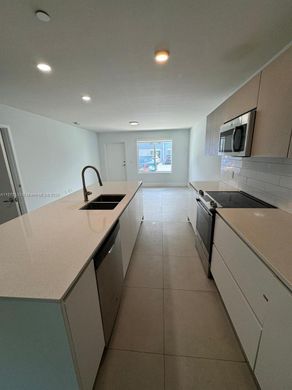 Таунхаус, Майами, Miami-Dade County