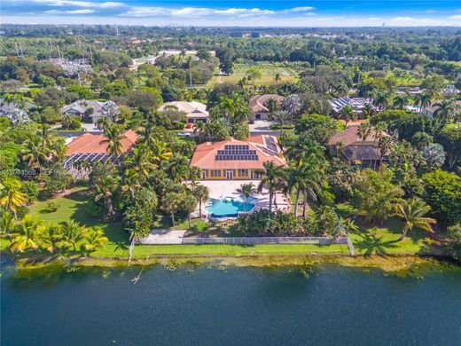 Вилла, Дэви, Broward County