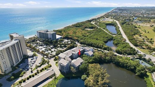 Komplex apartman Jupiter, Palm Beach County
