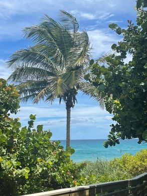 Edificio en Juno Beach, Palm Beach County