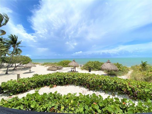 Residential complexes in Key Biscayne, Miami-Dade