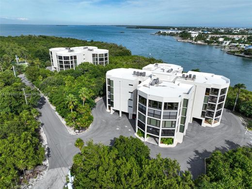 Appartementencomplex in Marathon, Monroe County