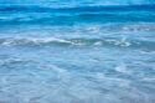 빌라 / Palm Beach, Palm Beach County