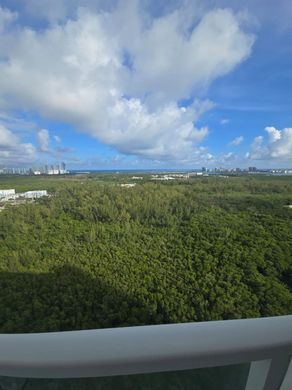 Complexes résidentiels à North Miami, Comté de Miami-Dade