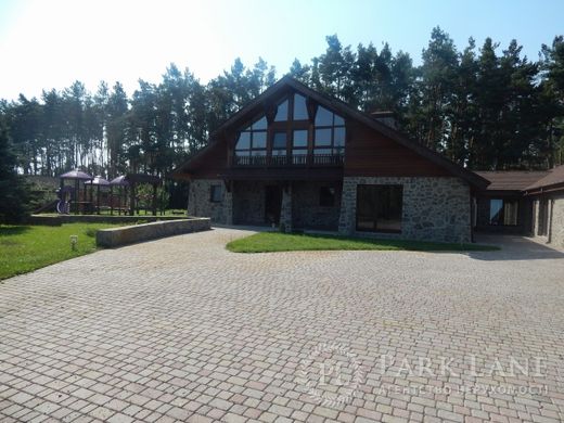 Luxury home in Berezivka, Vinnyts’ka Oblast’