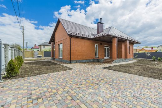 Luxus-Haus in Chabany, Chernihivs’ka Oblast’