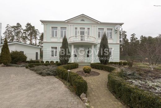 Casa di lusso a Liutizh, Chernihivska Oblast