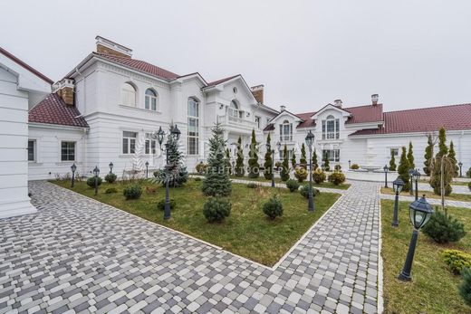 Casa di lusso a Kozyn, Obukhiv Raion