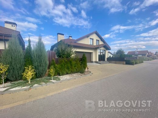 Luxury home in Severynivka, Vinnyts’ka Oblast’