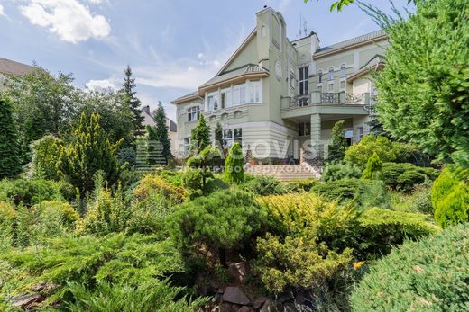 Casa de luxo - Petropavlivska Borshagivka, Kyiv Oblast