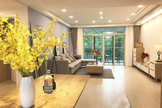 Apartment in Shanghai, Shanghai Municipality