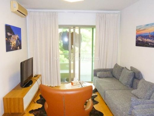 Apartment in Shanghai, Shanghai Municipality