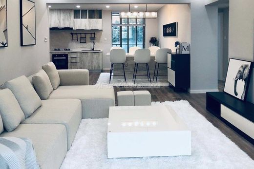 ﺷﻘﺔ ﻓﻲ شانغهاي, Shanghai Municipality