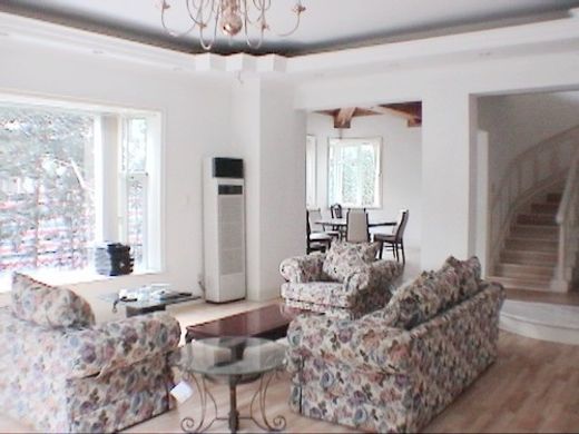 Villa in Shanghai, Shanghai Municipality