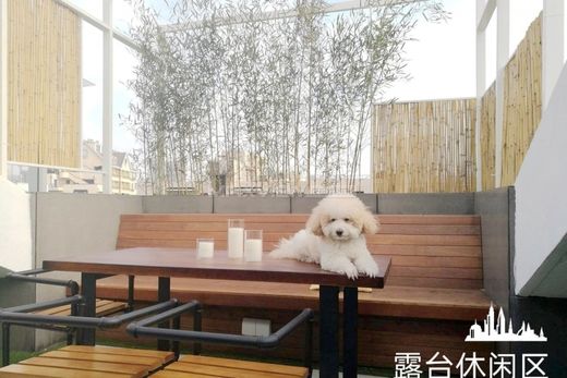 Luxe woning in Sjanghai, Shanghai Municipality