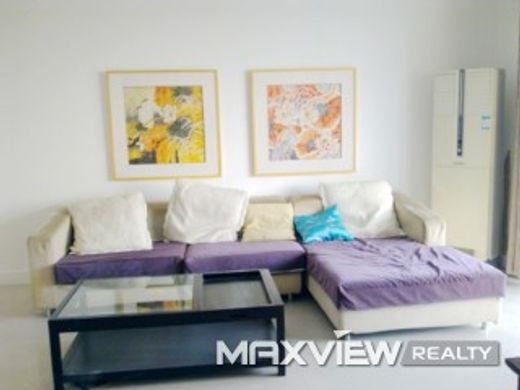 ﺷﻘﺔ ﻓﻲ شانغهاي, Shanghai Municipality