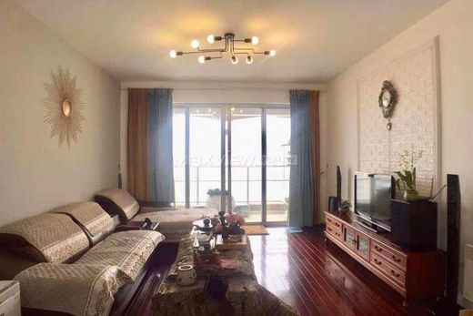 Apartment in Shanghai, Shanghai Municipality
