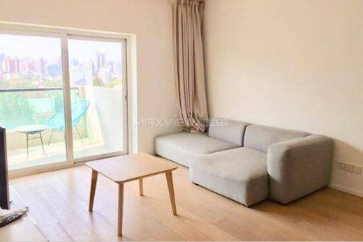 Daire Şangay, Shanghai Municipality