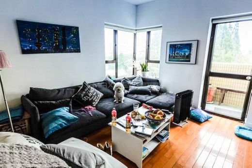 Daire Şangay, Shanghai Municipality