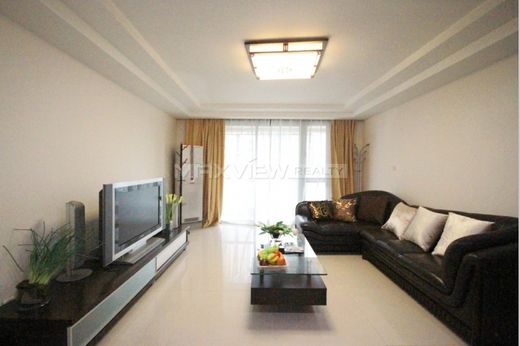 Daire Şangay, Shanghai Municipality