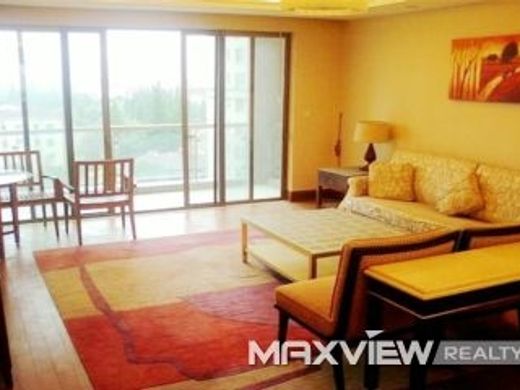 Apartment in Shanghai, Shanghai Municipality