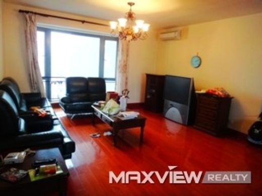 Apartment in Shanghai, Shanghai Municipality