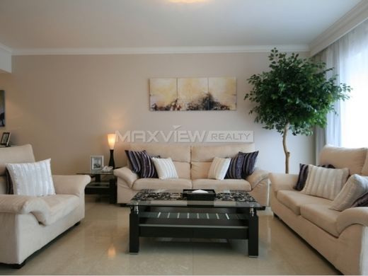 Daire Şangay, Shanghai Municipality