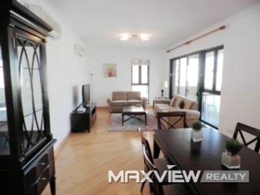 Daire Şangay, Shanghai Municipality