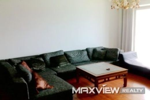 Apartment in Shanghai, Shanghai Municipality