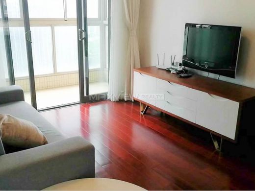 Apartment in Shanghai, Shanghai Municipality