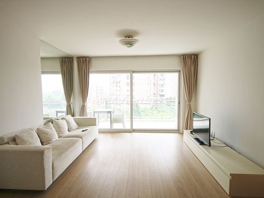 Apartment in Shanghai, Shanghai Municipality