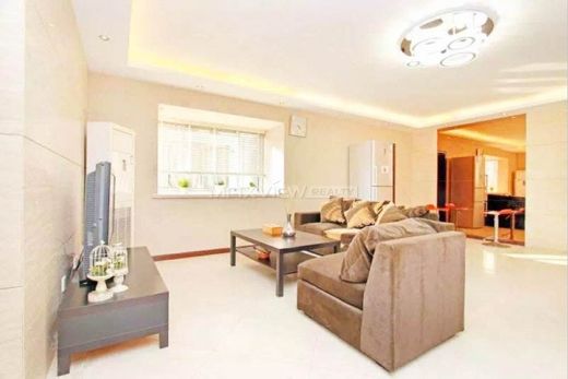 Daire Şangay, Shanghai Municipality