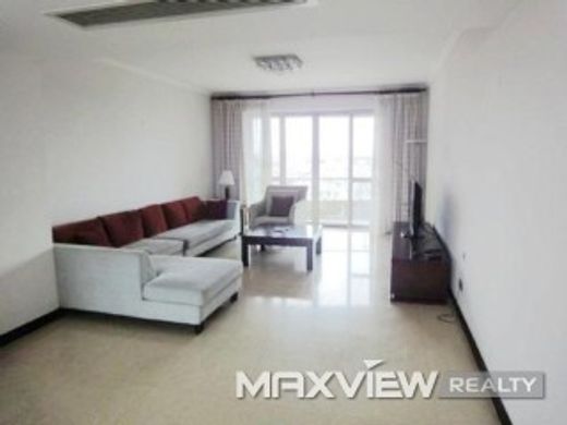 Apartment in Shanghai, Shanghai Municipality