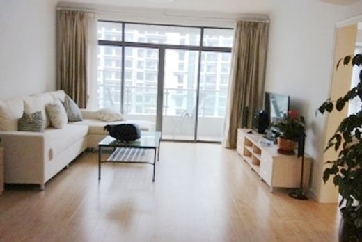 Apartment in Shanghai, Shanghai Municipality