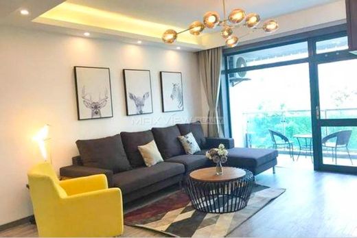 Daire Şangay, Shanghai Municipality