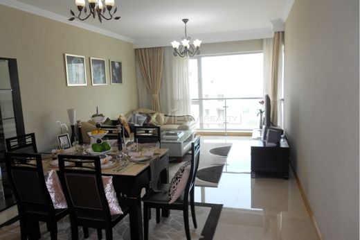 Apartment in Shanghai, Shanghai Municipality