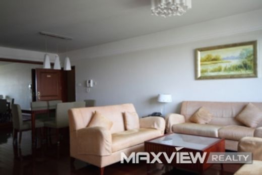 Apartment in Shanghai, Shanghai Municipality