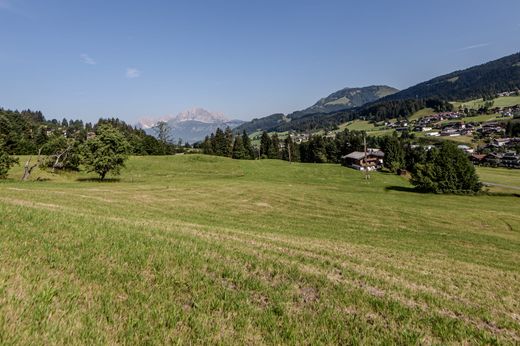 Fieberbrunn, Politischer Bezirk Kitzbühelの土地